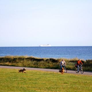 Kalifornien Ostsee - Radfahren am Strand